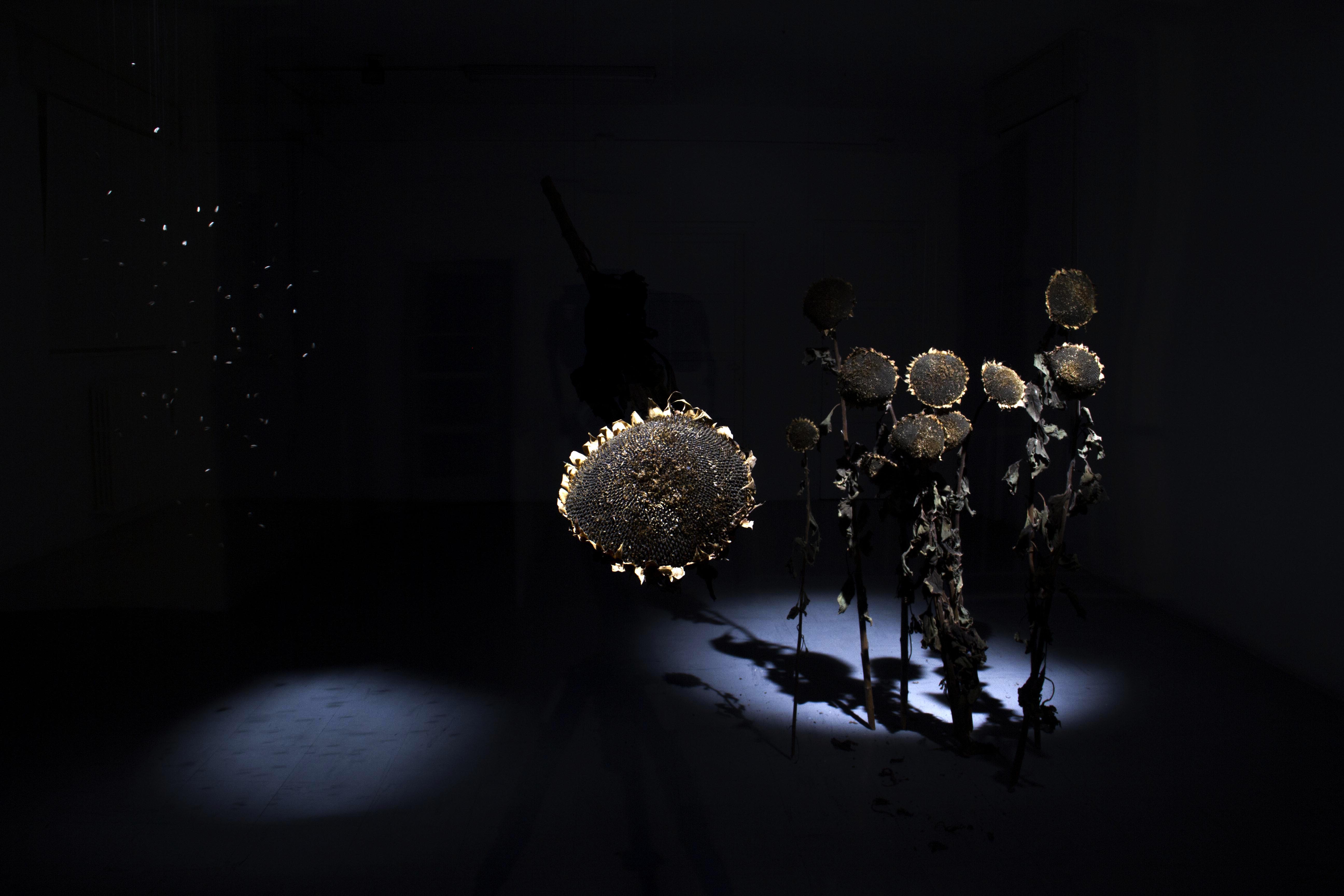 24:24 Ephipanìa particular view of Art Installation title 24:24 Epiphanìa artist Romano Serafini