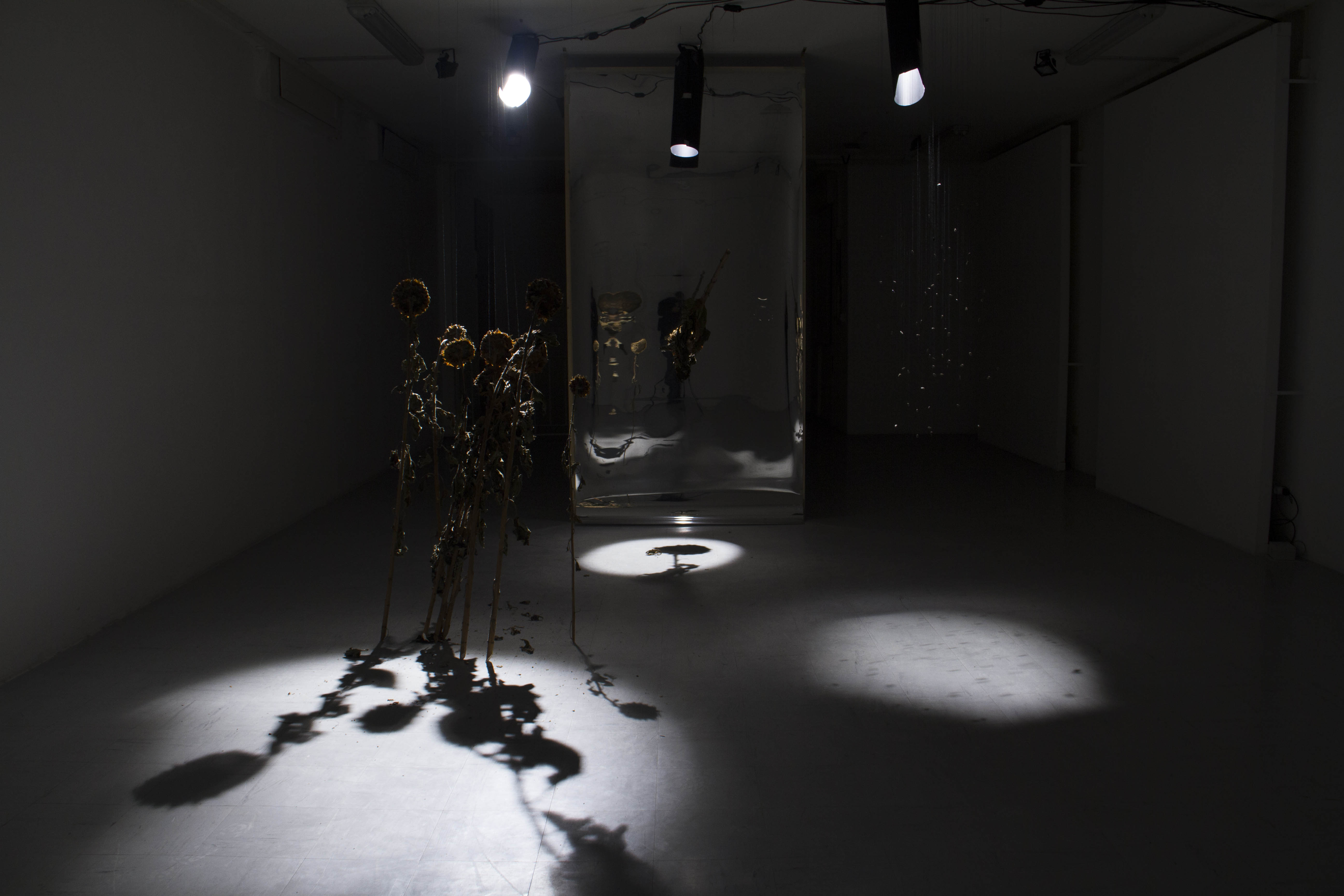 24:24 Ephipanìa all view back Art Installation title 24:24 Epiphanìa artist Romano Serafini