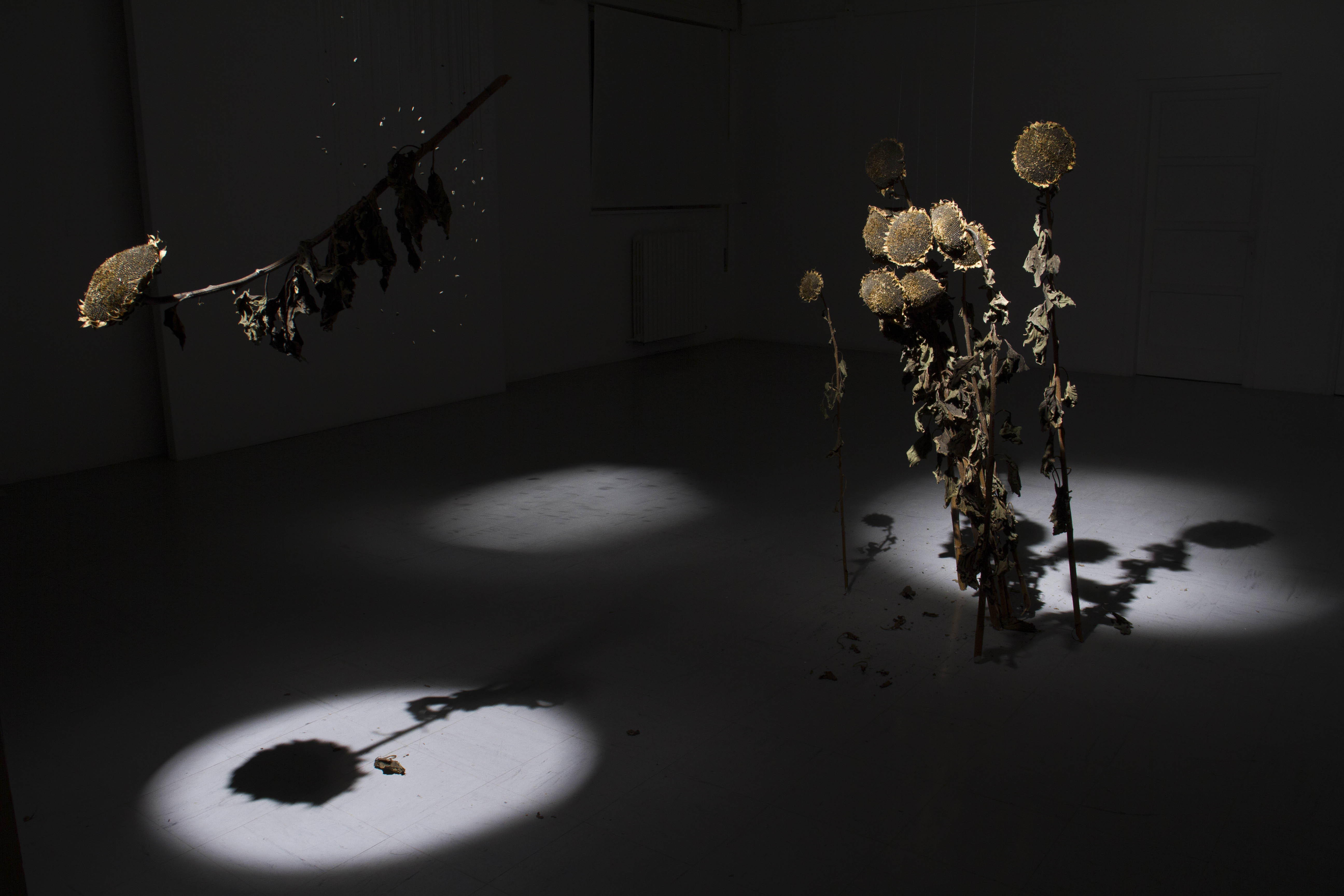 24:24 Ephipanìa all view lateral Art Installation title 24:24 Epiphanìa artist Romano Serafini