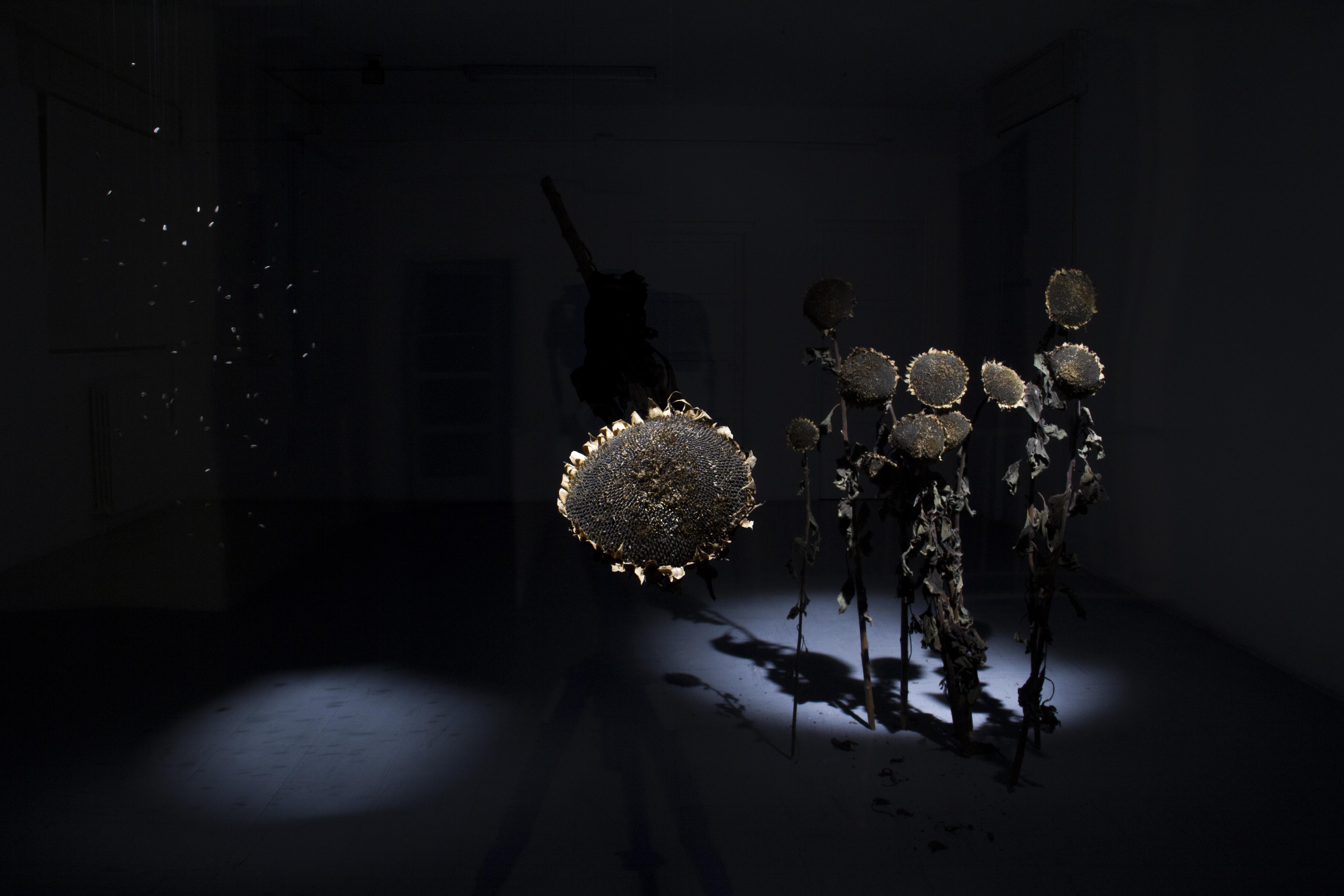 visione frontale dell'opera d'arte installazione 24:24 Epiphanìa degli artisti Romano Serafini