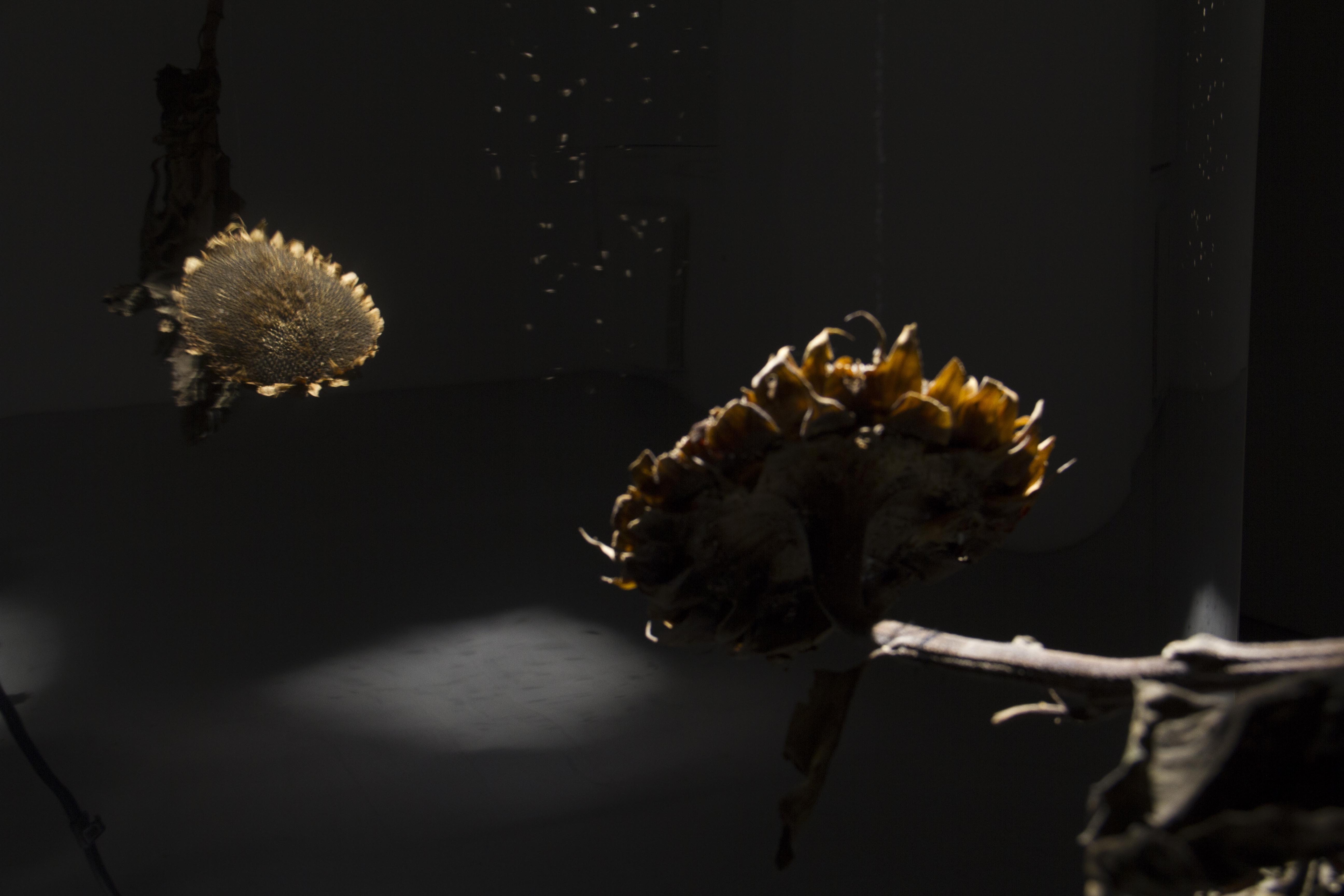 particolare riflesso Opera d'arte installazione 24:24 Epiphanìa degli artisti Romano Serafini